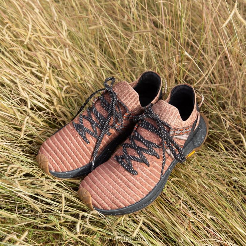 Frauen Merrell Schildkröte Embark Lace Sneaker x Jordan Ann Craig Schuhe PTTR4P1057