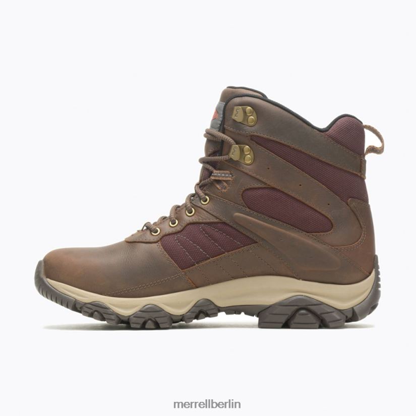 Männer Merrell Toffee Moab 2 Holz 6'' wasserdicht Schuhe PTTR4P598