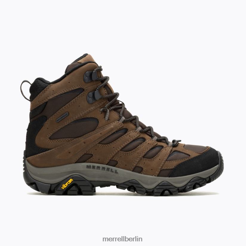 Männer Merrell Adlerfarn Moab 3 Apex Mid wasserdicht Schuhe PTTR4P673