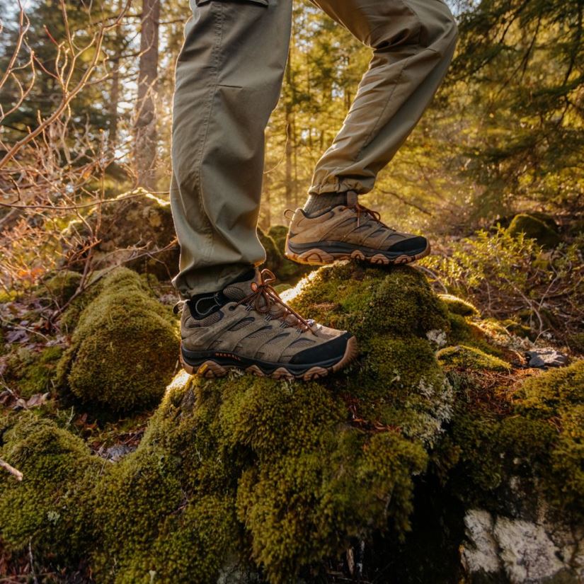 Männer Merrell Olive/Gummi Moab 3 wasserdicht Schuhe PTTR4P76