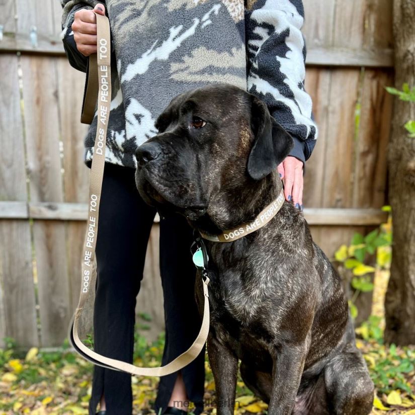 unisex Merrell Sepia-Tönung Hundehalsband Zubehör PTTR4P271