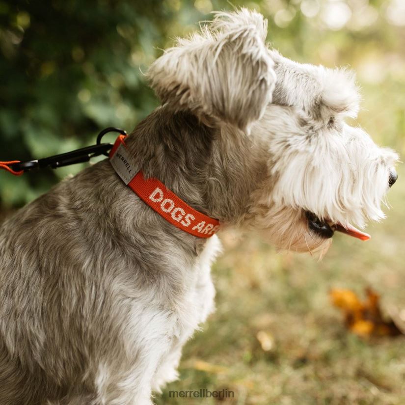 unisex Merrell poinciana Hundehalsband Zubehör PTTR4P267